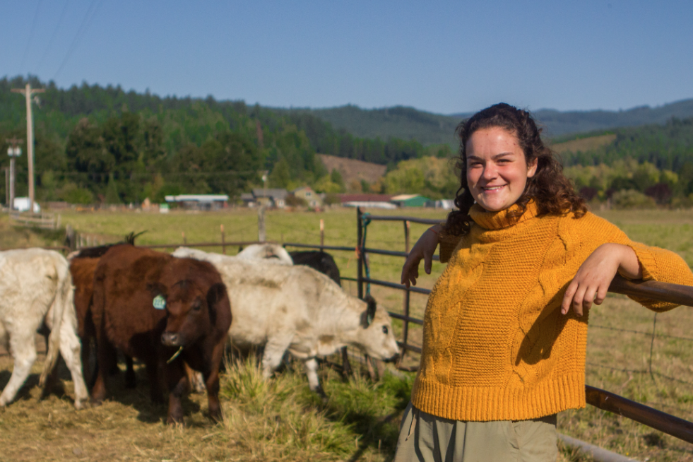 Farmer in a yellow sweater standing beside cattle in a pasture.