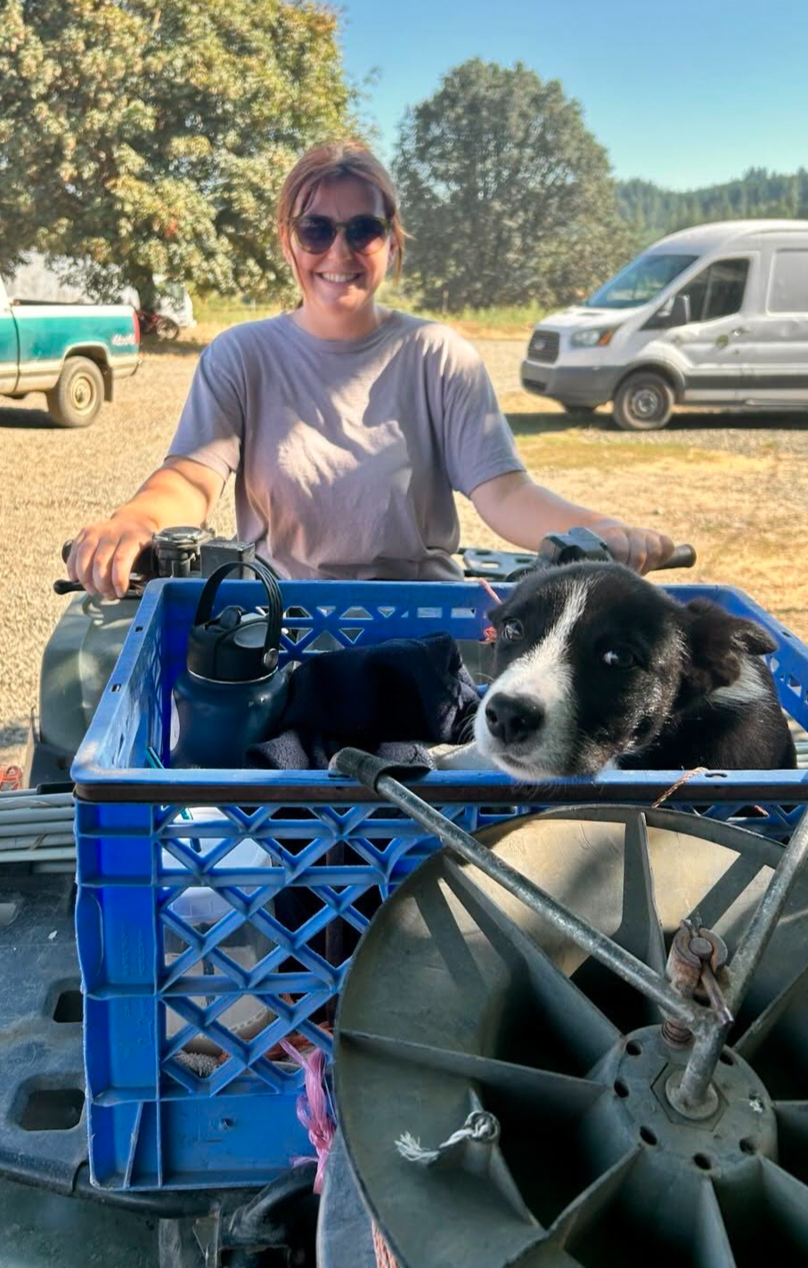 Farm worker with a dog riding in a delivery crate on a farm vehicle.