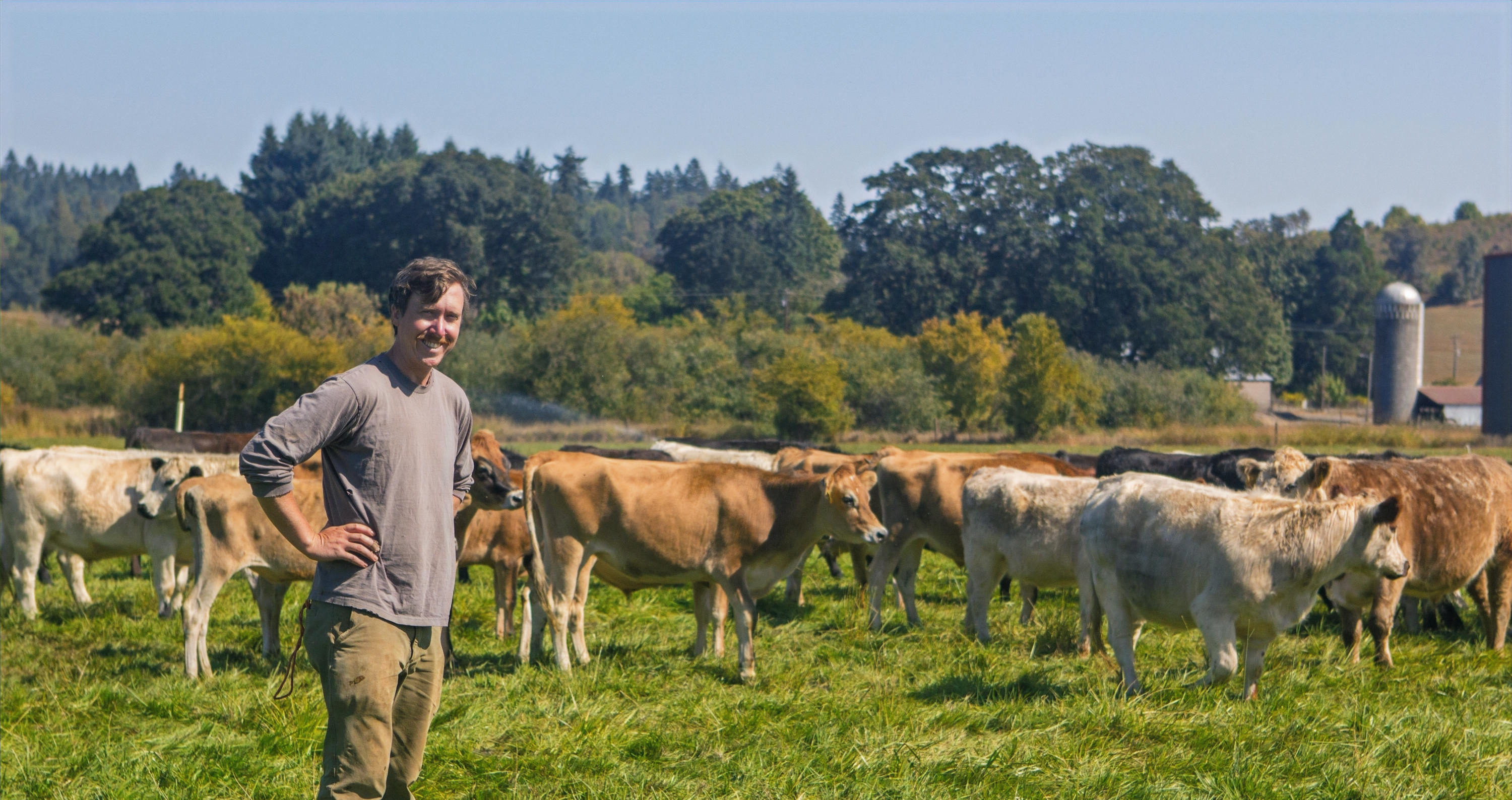 Farmer standing in pasture among cattle on a sunny day.